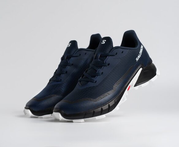 Salomon Alphacross 5 GTX Синие 45208