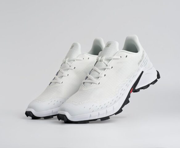 Salomon Alphacross 5 GTX Белые 45204