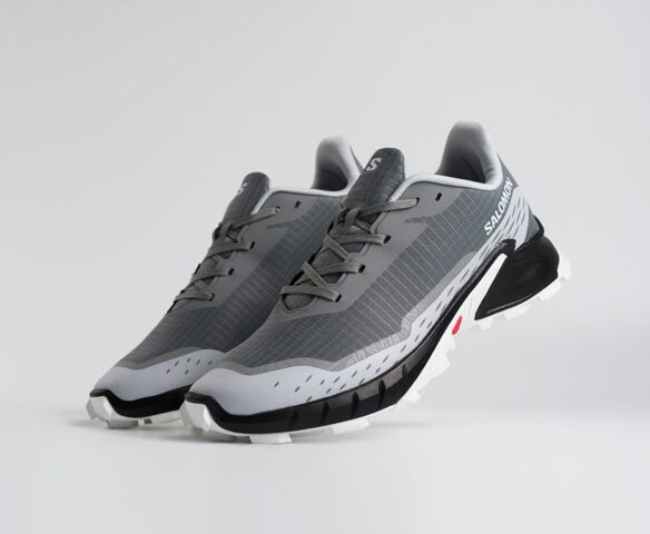 Salomon Alphacross 5 GTX Серые 45209