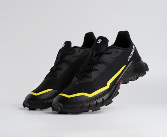 Salomon Alphacross 5 GTX Черные 45205