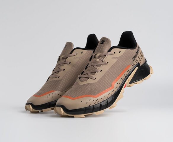 Salomon Alphacross 5 GTX Бежевые 45210