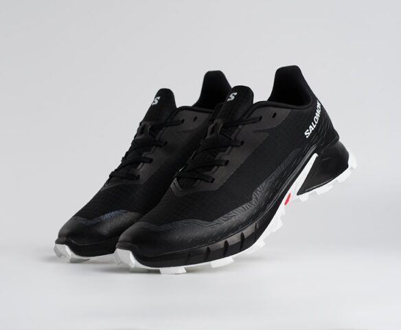 Salomon Alphacross 5 GTX Черные 45206