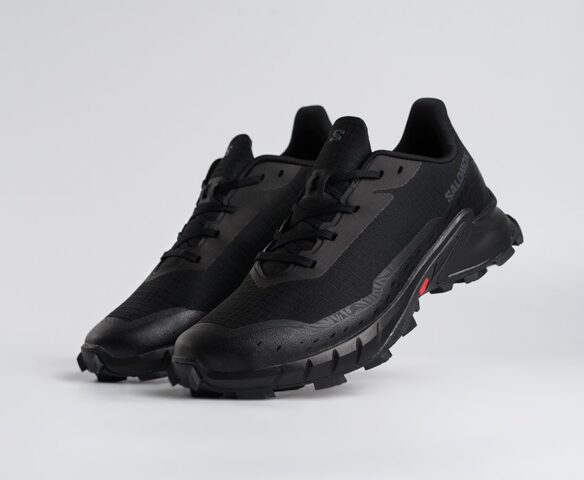 Salomon Alphacross 5 GTX Черные 45203